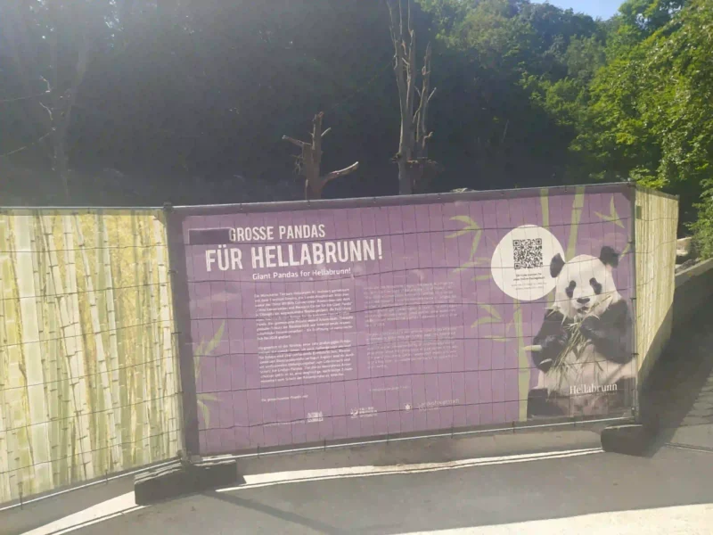 Hinter diesem Bauzaunentsteht im Tierpark Hellabrunn das Panda-Gehege