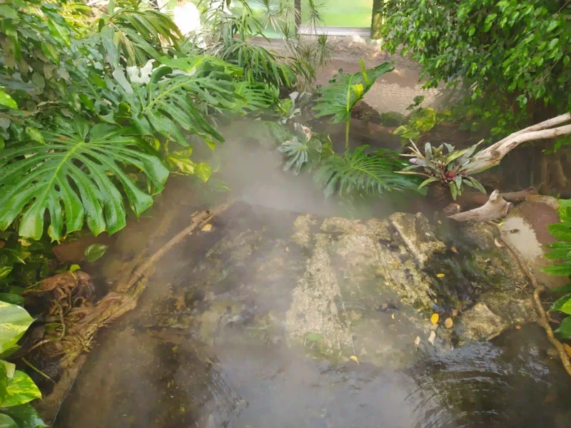 Wasserfall und Sprühregen
